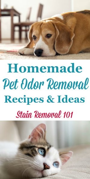 Lots of homemade pet odor removal recipes and ideas to enjoy your pets and your home at the same time {on Stain Removal 101}