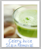 celery stains