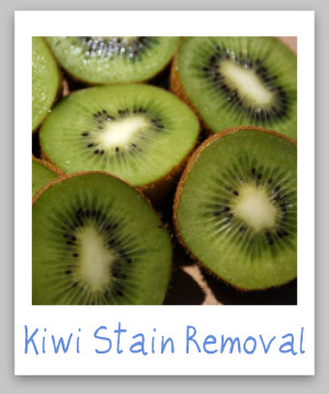 Kiwi stain removal guide, with step by step instructions for removing kiwi juice stains from clothing, upholstery and carpet {on Stain Removal 101}