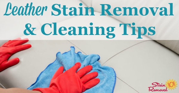 Leather Stain Removal & Cleaning Tips And Hints