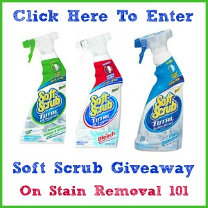 Dial Professional Soft Scrub with Bleach Cleanser - For Sink