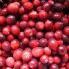 cranberries