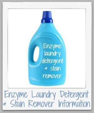 How enzyme laundry detergent and stain removers work to remove stains and get clothes clean, plus instructions for how to use them properly and effectively. {on Stain Removal 101}
