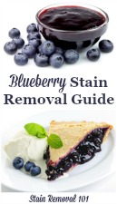 How To Remove Blueberry Stains