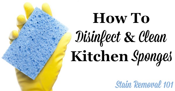 How to Clean a Sponge