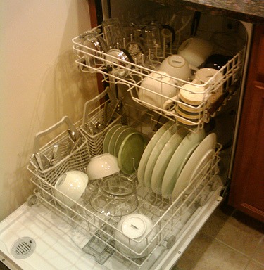 wash sponge in dishwasher
