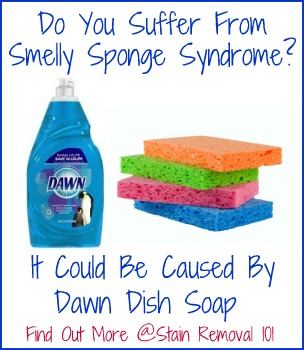 Plastic-Free Dishwashing, From Dishwasher Detergents To Sponges