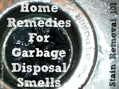 DIY Clean And Rid Smells From A Garbage Disposal