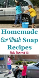 Homemade Car Wash Soap Recipe