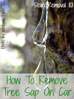 DIY DETAIL Tree Sap Remover demonstration 