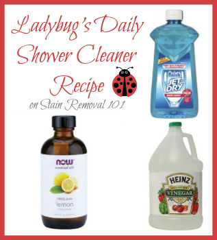 The Best Homemade Shower Cleaner [Updated 2023]
