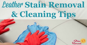 leather stain removal and cleaning tips