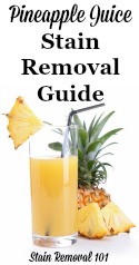 Pineapple Juice Stain Removal Guide