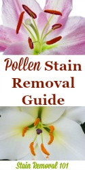 Pollen Stain Removal Guide