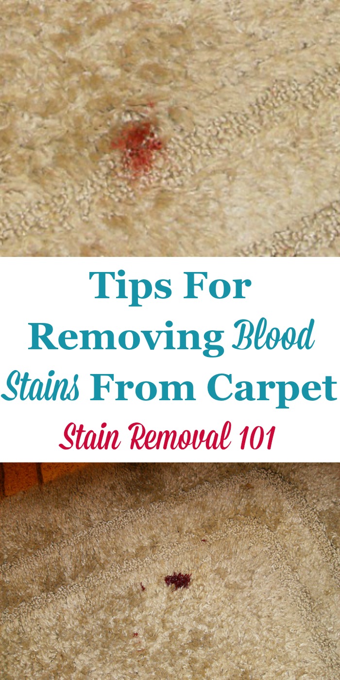 How To Get Blood Out Of Carpet [Complete Guide]