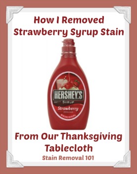 Trust Shout® Stain Remover To Help You Clean Up Those Holiday Messes! -  iHeartPublix