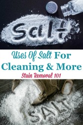 Uses Of Salt For Cleaning