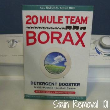 Earthborn Elements Borax Powder (1 Gallon), Multipurpose Cleaner &  Detergent Boo 