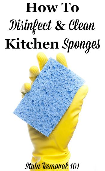 How To Disinfect And Clean A Sponge: Tips & Ideas
