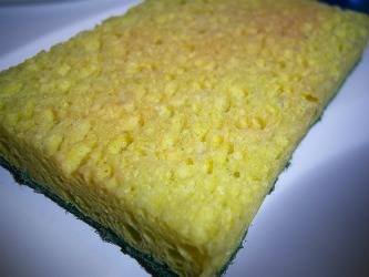 how to keep your sponge from smelling