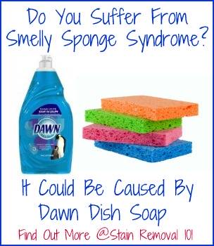 dish sponge smells