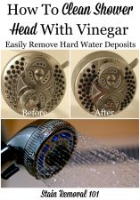 How To Clean Shower Head With Vinegar