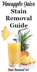 Pineapple Juice Stain Removal Guide