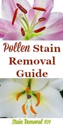 Pollen Stain Removal Guide